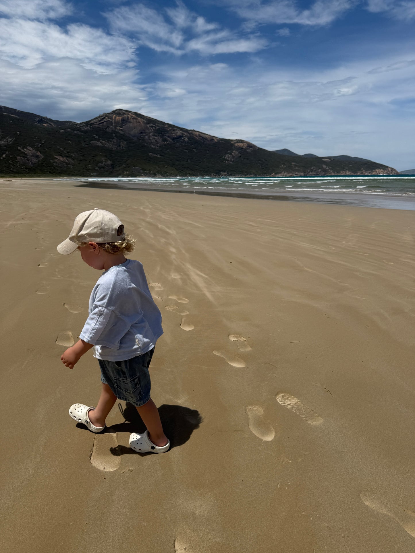 CARGO SHORTS | DENIM